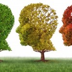 Describen cómo cambia el cerebro años antes de los primeros síntomas del alzhéimer