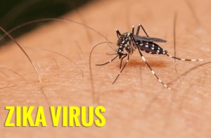 zika-virus-copy