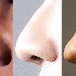 Evolución de la nariz