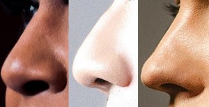 Evolución de la nariz