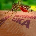 dengue zika