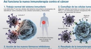 inmunoterapia para el cáncer