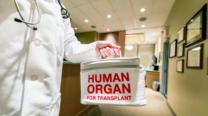Trasplante órganos