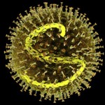 virus del sarampión