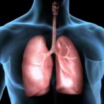 La contaminación del aire daña los vasos sanguíneos de los pulmones