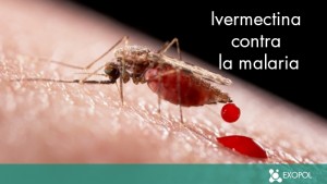 ivermectina-paludismo