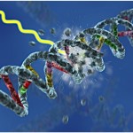 Problemas en la replicación del ADN causan cambios epigenéticos que se heredan