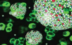 Nanomedicina para destruir las células de leucemia resistentes a terapias