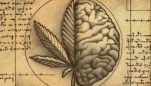 marihuana-danos-cerebro1
