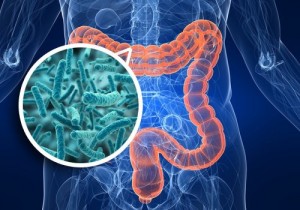 metformina altera la microbiota intestinal