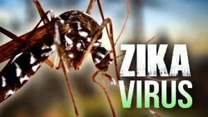 Virus-zika. Fuente: Boletín al día