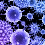 Los virus pueden presentar un componente social como estrategia para propagarse