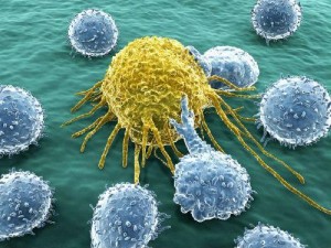 ralentizar crecimiento de células cancer