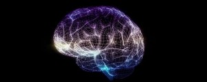 semejanza en ciertas conexiones cerebrales predice el parecido psicológico