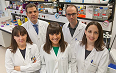 Investigadores Universidad de Navarra localizan una nueva diana frente a las metástasis hepáticas en pacientes con cáncer de pulmón