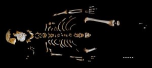patrón de maduración del neandertal