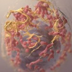 genes relacionados con la progresión del melanoma