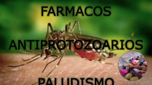 farmacopaludismo-160217031016-thumbnail-4