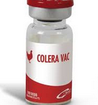 vacuna oral contra el cólera