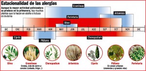 alergia graminea