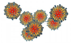measles-virus