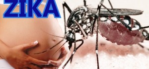 zika-gestação