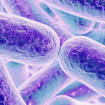 Existen más de 2.600 serotipos conocidos de Salmonella.