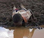 Hambre, cólera, sequía, conflicto: jinetes del apocalipsis en África