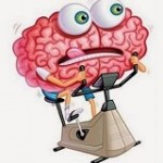 cerebro y ejercicio físico