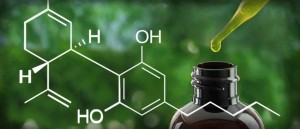 heres-everything-you-need-to-know-about-cbd