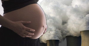 embarazo-contaminacion