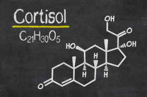 formula-quimica-del-cortisol
