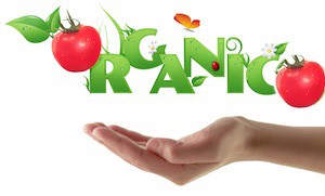 organic-food-small
