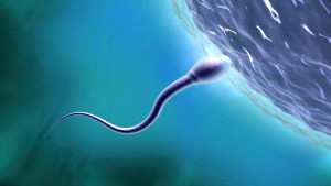 Male-Fertility-Test-Dubai