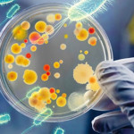 resistencia-bacteriana-se-debe-al-mal-uso-de-antibioticos-696x480