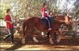 La terapia con caballos mejora algunos síntomas de la esclerosis múltiple