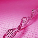 Un gran estudio identifica al menos 190 genes que predisponen a sufrir cáncer de mama
