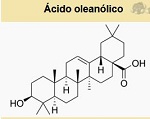 ácido oleanoico