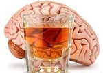 cerebro y consumo de alcohol