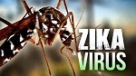virus-zika