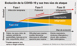 evolución de la COVID-19