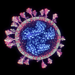 imagen real del coronavirus SARS-CoV-2 visto por fuera