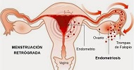 La COVID-19 tiene efectos en los ovarios, pero sin daños irreversibles