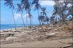 Tonga despues del tsunami