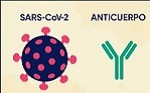 SARS.CoV-2 y anticuerpo monoclonal