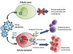 virus oncolítico