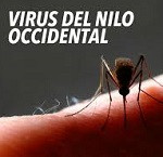 virus-del-Nilo-Occidental