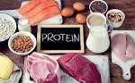 proteína animal