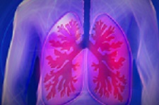 pulmonar3