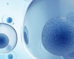 celulas embrionarias